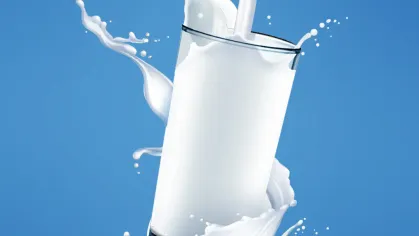 Frisian Flag: Task Management Web App Development Article image