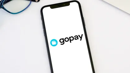 GoPay: Website Redesign Article image