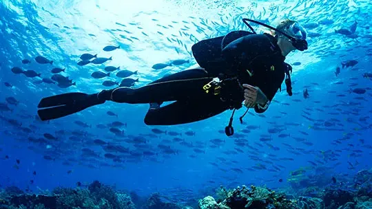 Allindive.com: Bring The Best Out of Your Diving Trips