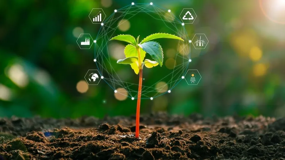 Eco-Resilience in Growth: Tree Planting as a Symbol of ESG Commitment