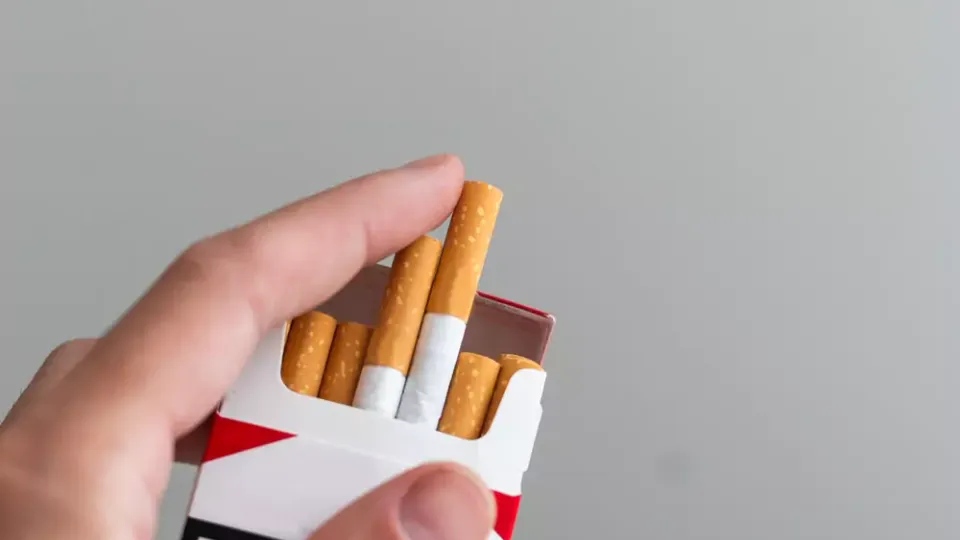 Multinational Tobacco Company: Digital Platform Solutions